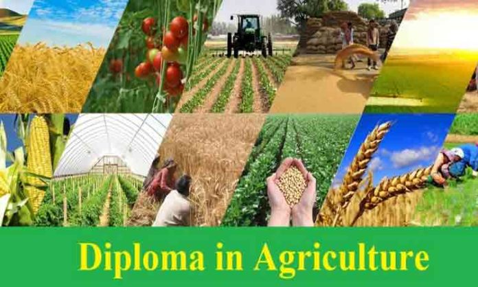 Counseling for Agri Diploma Courses from 27