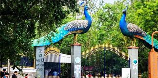 Female film producer harassed at KBR Park