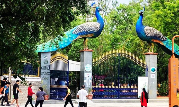 Female film producer harassed at KBR Park