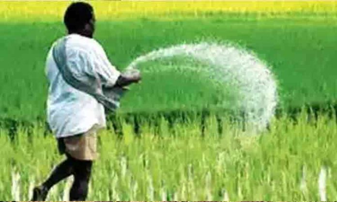 Adequate fertilizers for crop cultivation