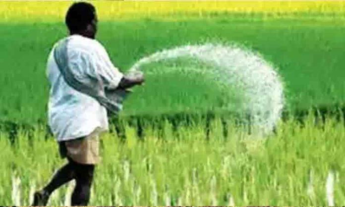 Adequate fertilizers for crop cultivation