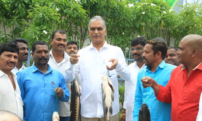 Huge demand for Siddipet fish in national market