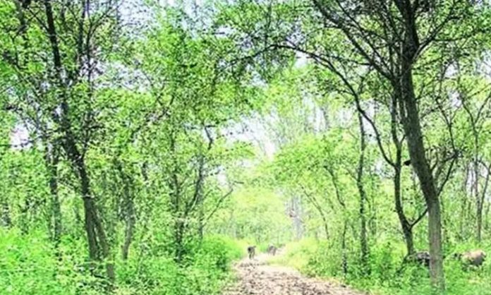 Jharkhand Hazaribagh