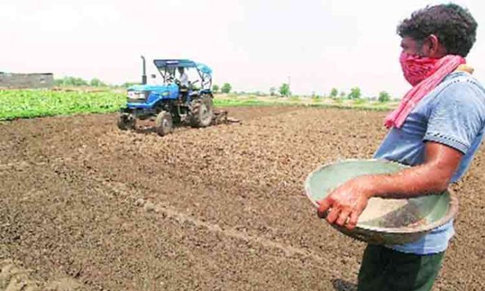Karif cultivation in slow phase