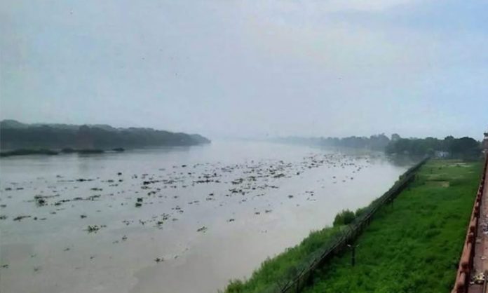 Rising Yamuna river waters reach walls