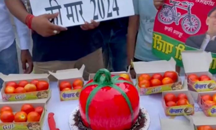 Tomatoes distribution on Akhilesh Yadav Birthday