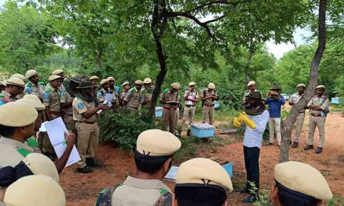 Field level training for forest officials