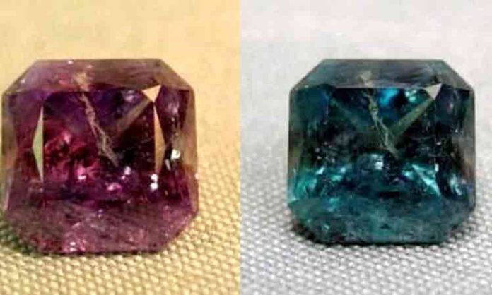 Hunting of colored stones should be controlled