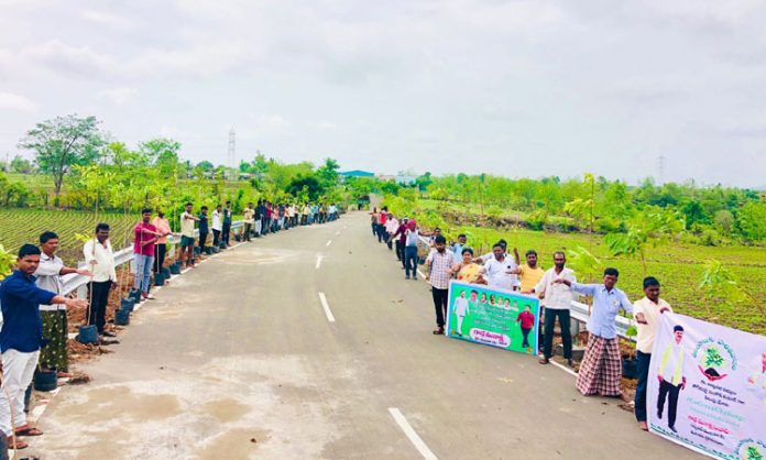 Plants Planted for KTR Birth day