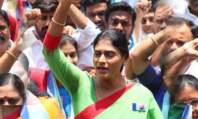 YS Sharmila Crucial Remarks on Contesting Elections