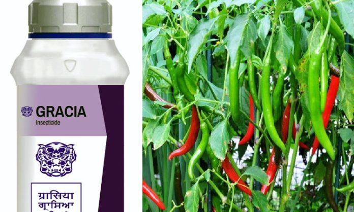 Farmers use Godrej Gracia for Chilli