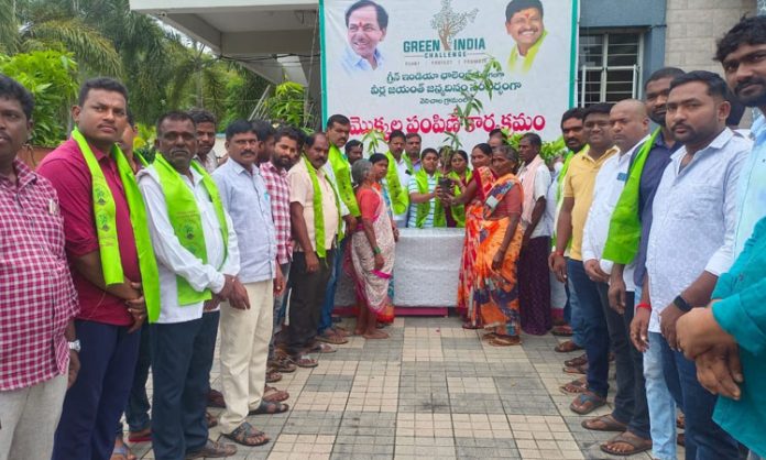 6250 plants distributed under Green India Challenge