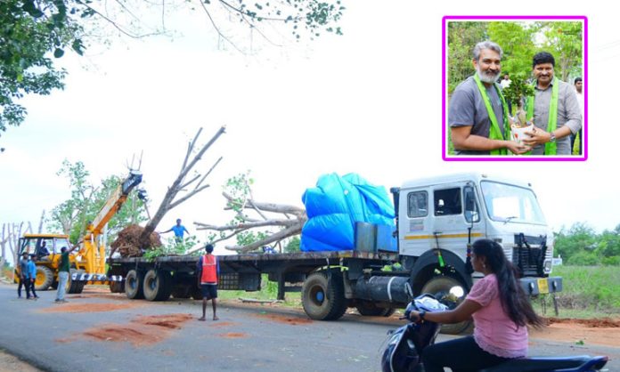 Trees relocate in green India challenge