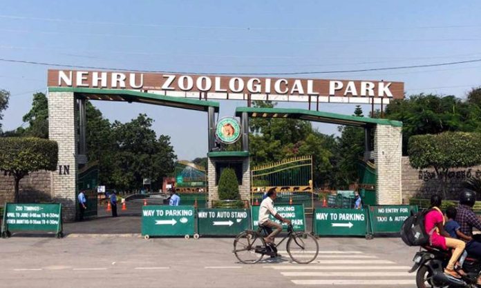 Sandalwood Trees Cut by Smugglers in Hyderabad Zoo Park