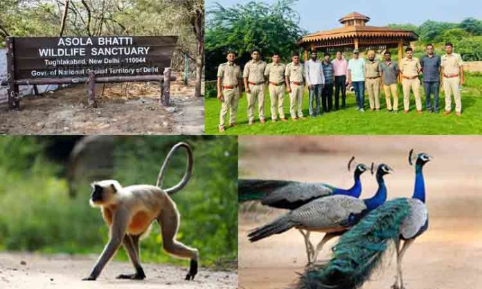 Asola Wildlife Sanctuary doing magic : MP Santhosh