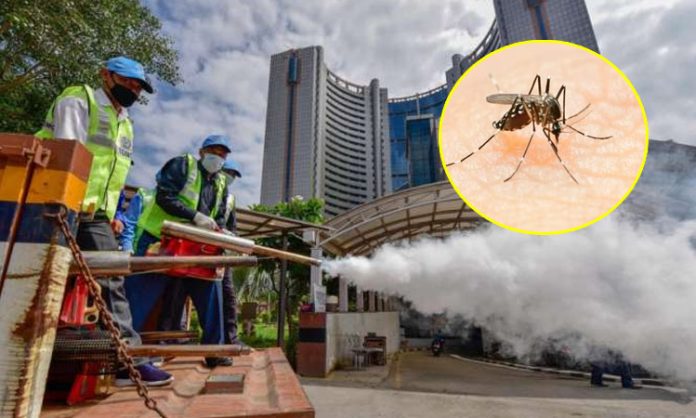 Dengue cases on the rise in Delhi