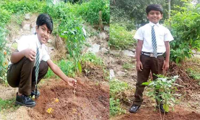 Child Artist Dhrivan in Green Challenge