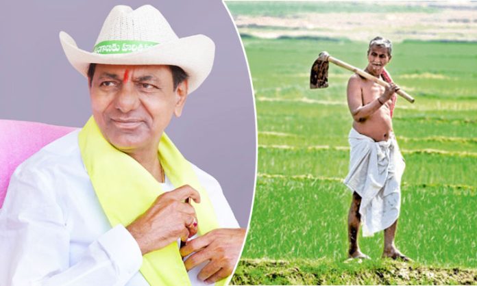 Debt relief for farmers