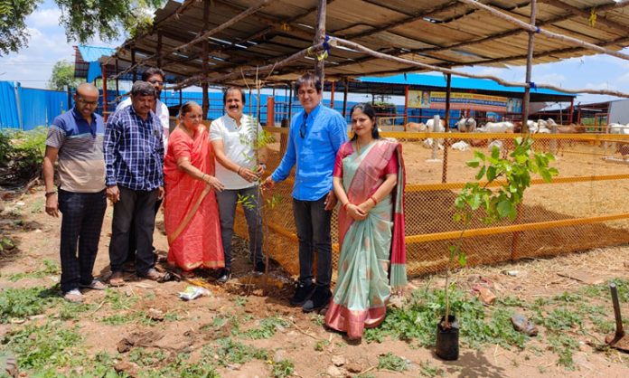MLA planted saplings as part of Green Challenge