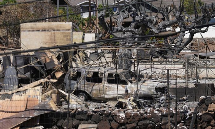 Maui wildfires