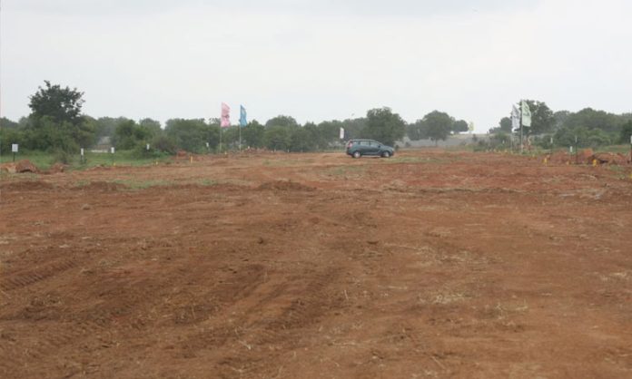 mokila land auction