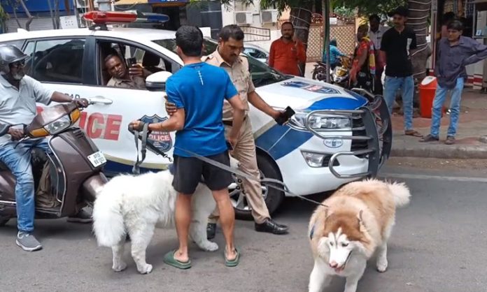 Young Man Slams Police Officers For Hitting His Dogs