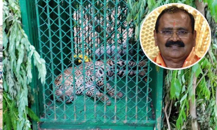 TTD Chairman Bhumana karunakar reddy leopard