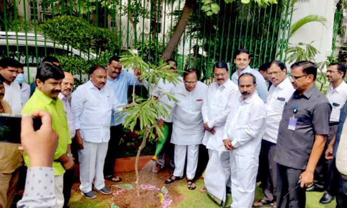 Gutha Sukender Reddy plant saplings at Assembly