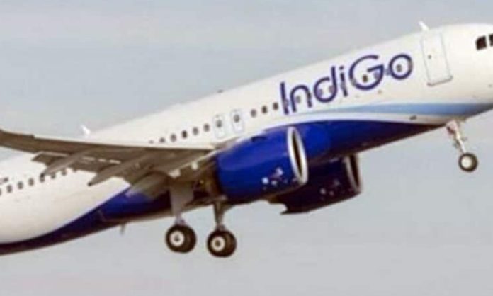 indigo flight