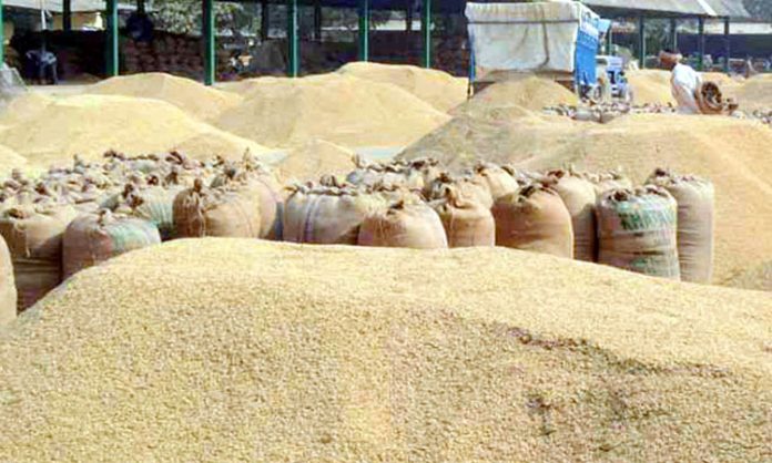 Modi cheating farmers over Crop MSP