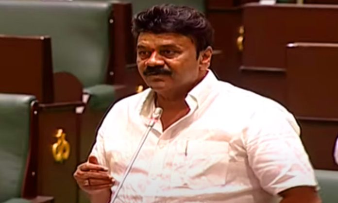 Talasani srinivas yadav speech in Assembly