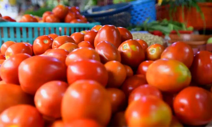 Tomato prices drop