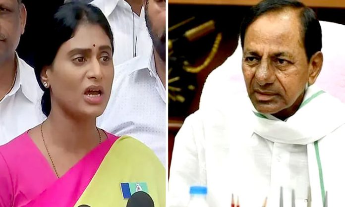 YS Sharmila fires on CM KCR Over House Arrest