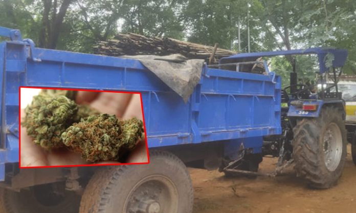 5 quintals of ganja seized in Mancherial