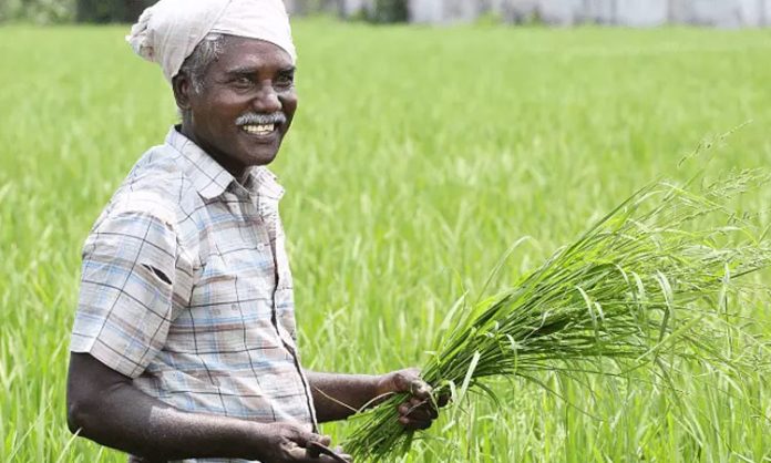 Agriculture adapted to climatic conditions