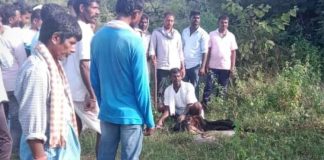 Goat killed in leopard attack in Medak