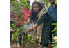 Green India Challenge gets reputation worldwide: Sindhu Tapasvi
