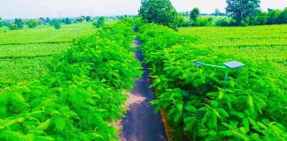 Mukhrake as a green village with a green challenge