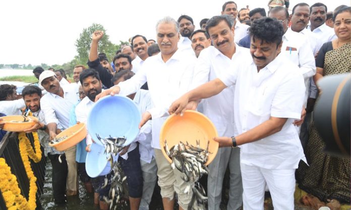 Telangana fish distribution