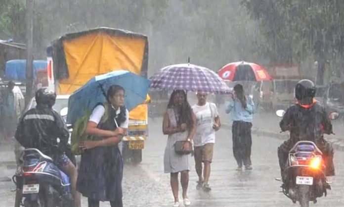 Heavy rain warning in 47 districts in Madhya Pradesh