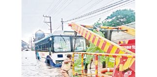 Devastation of Rain