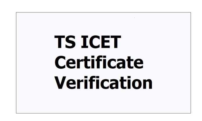 ICET verification