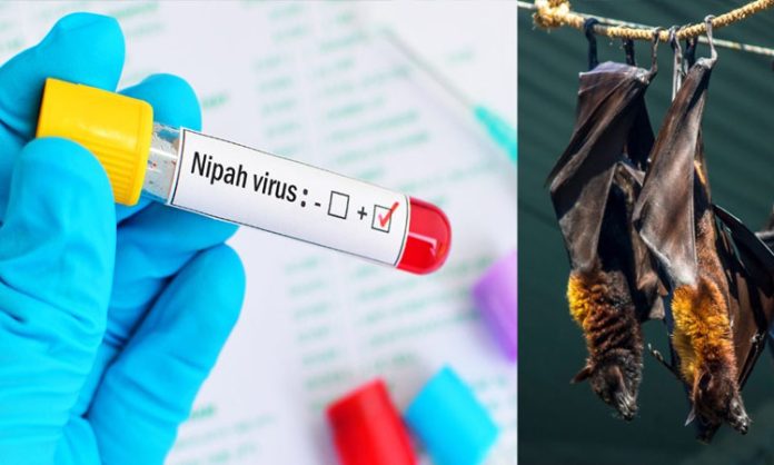 Kerala reports 2 suspected Nipah virus deaths in Kozhikode