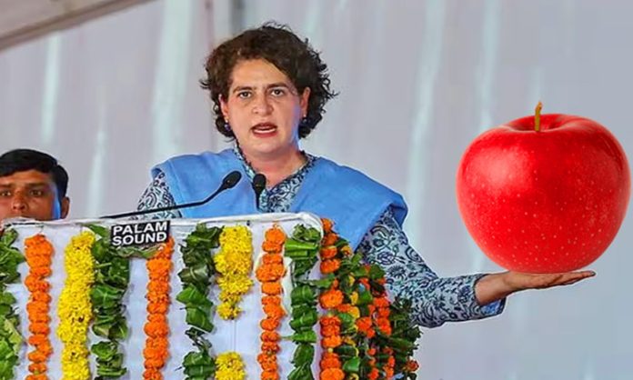 Priyanka Gandhi slams Centre decision to reduce on American apples