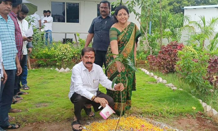 Government Chief Whip Dasyam Revathi Vinay Bhaskar couple who planted the sapling