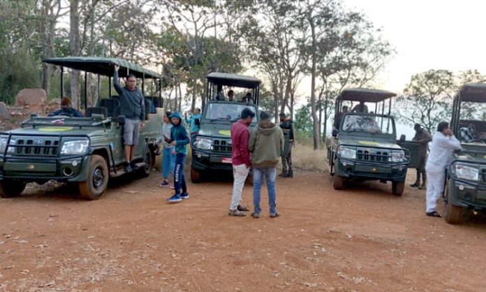 Safari Vehicles for Tourists at Nallamalla Forest