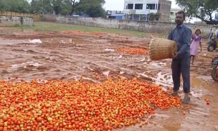 Tomato prices down in Telugu states