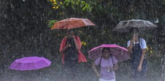 Yellow alert in southern districts of Kerala