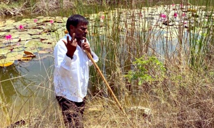 “India's Green Heart Dusharla Satyanarayana” documentary