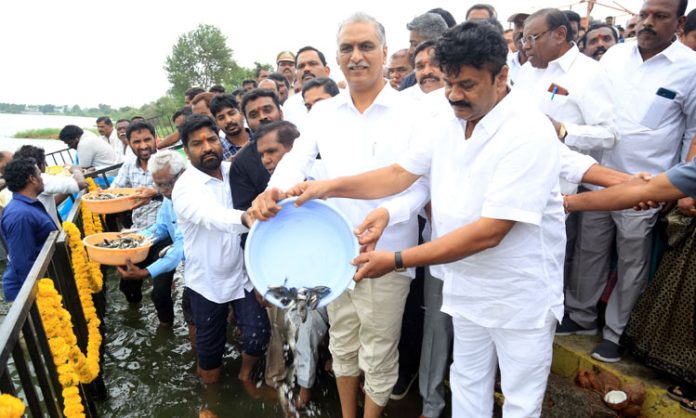 Harish Rao and Talasani Dropped fishes in Chintal Pond in Siddipet